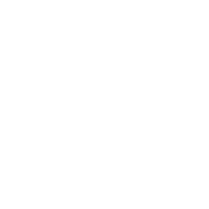 Icon White